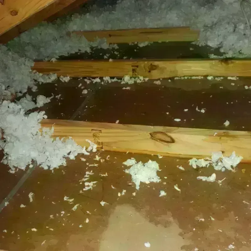 Attic Water Damage in Mammoth, AZ