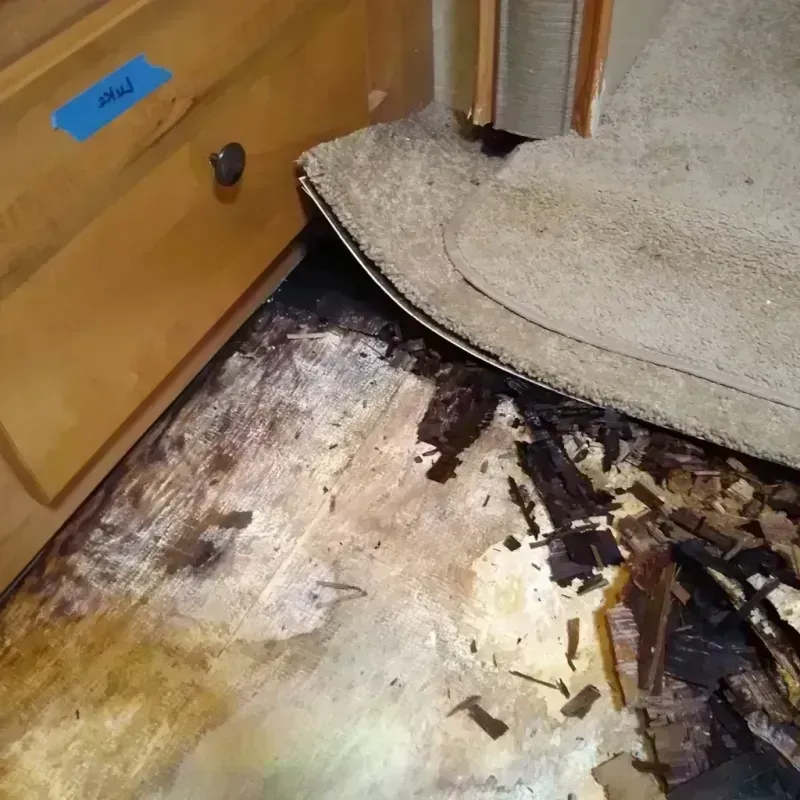 Wood Floor Water Damage in Mammoth, AZ